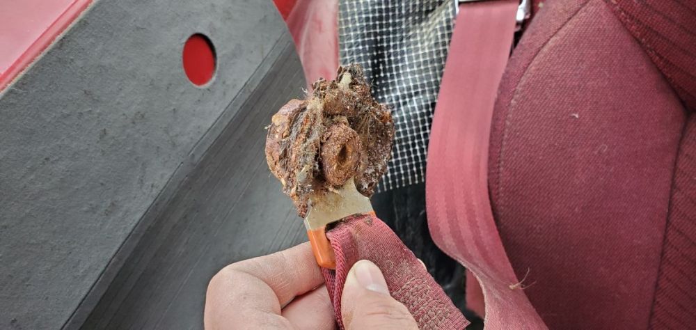 20191223_112439[1].jpg